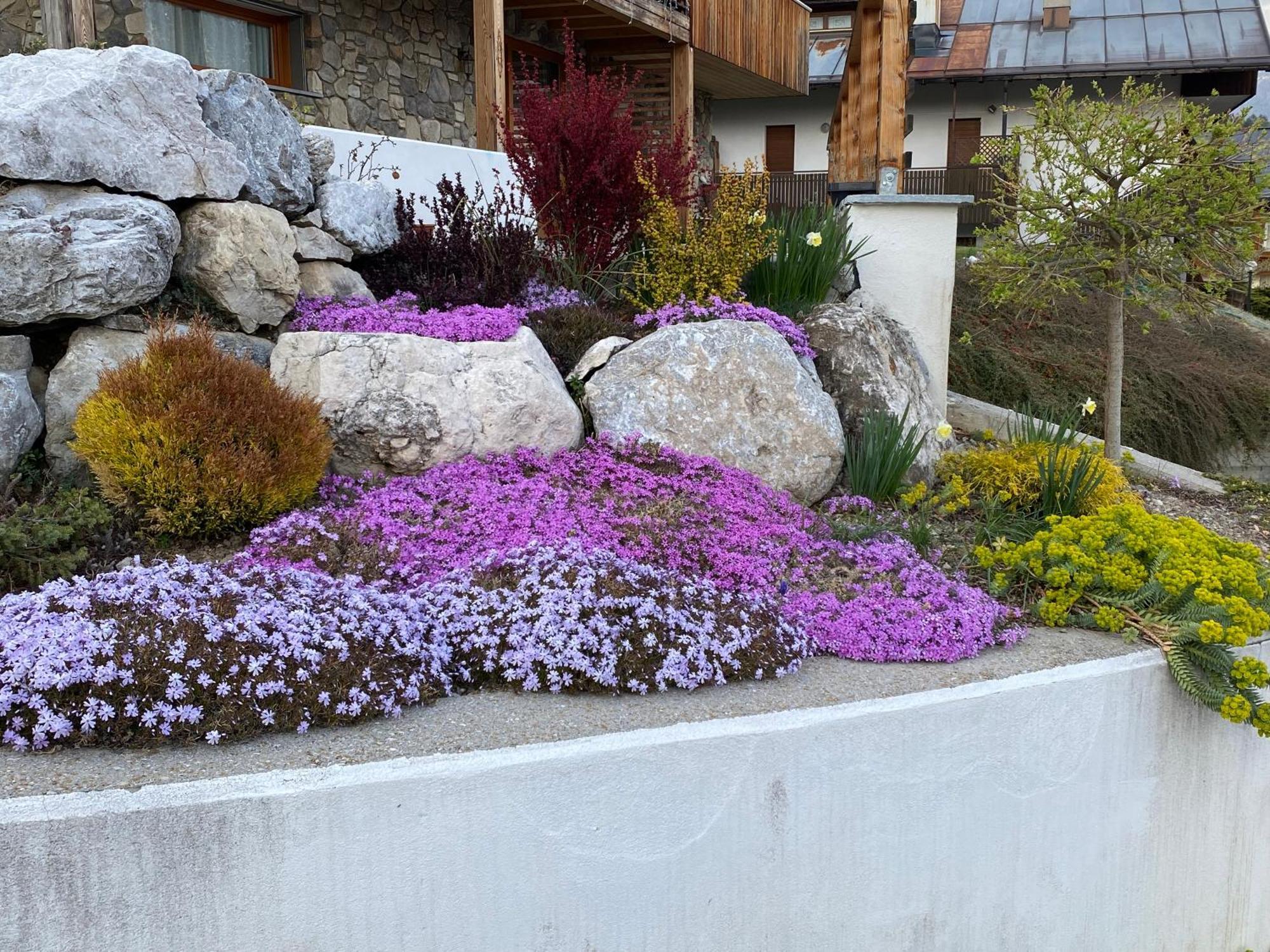 Apartament Reggia Al Sole Pieve di Cadore Zewnętrze zdjęcie